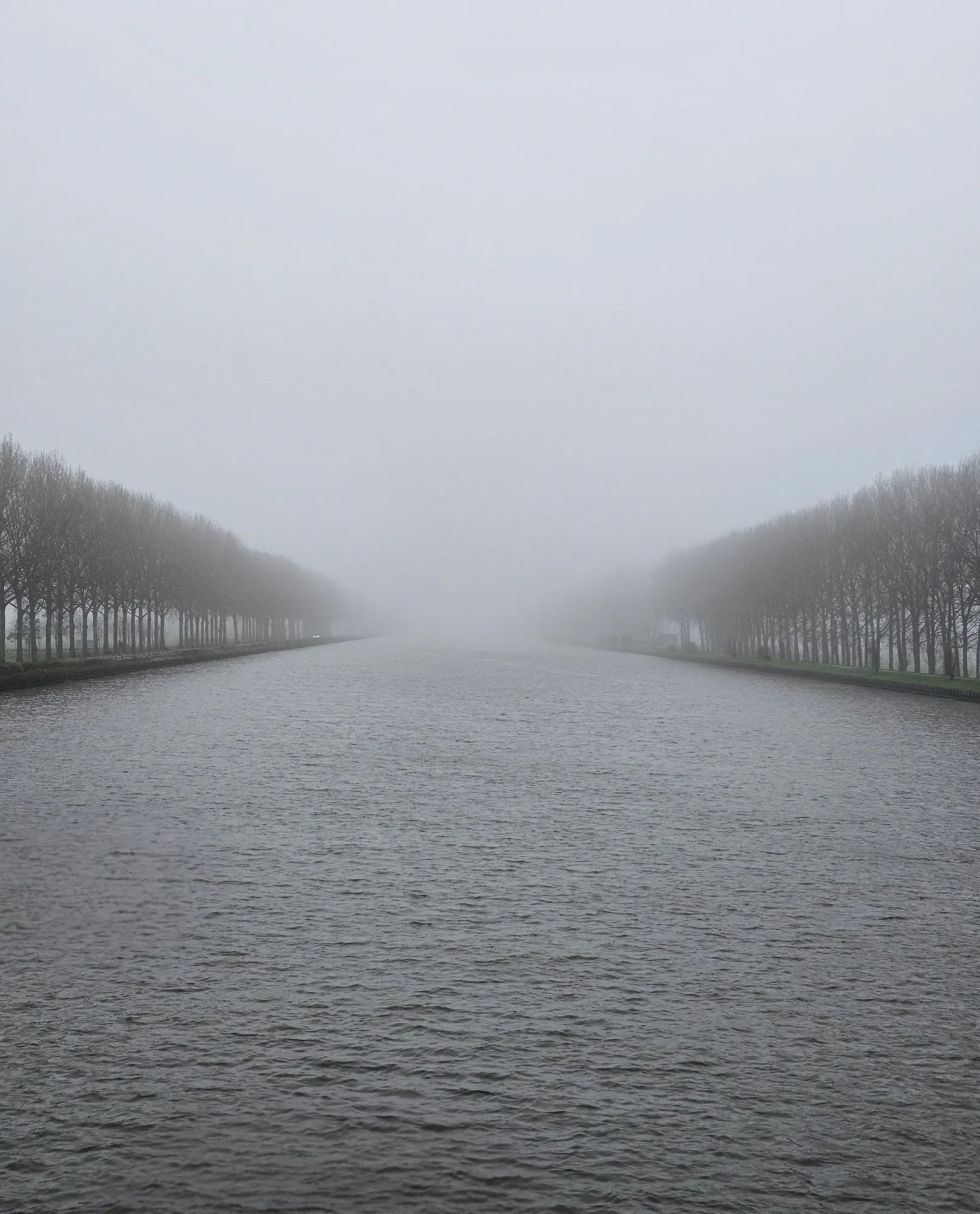 Tree-lined river disappearing into dense fog