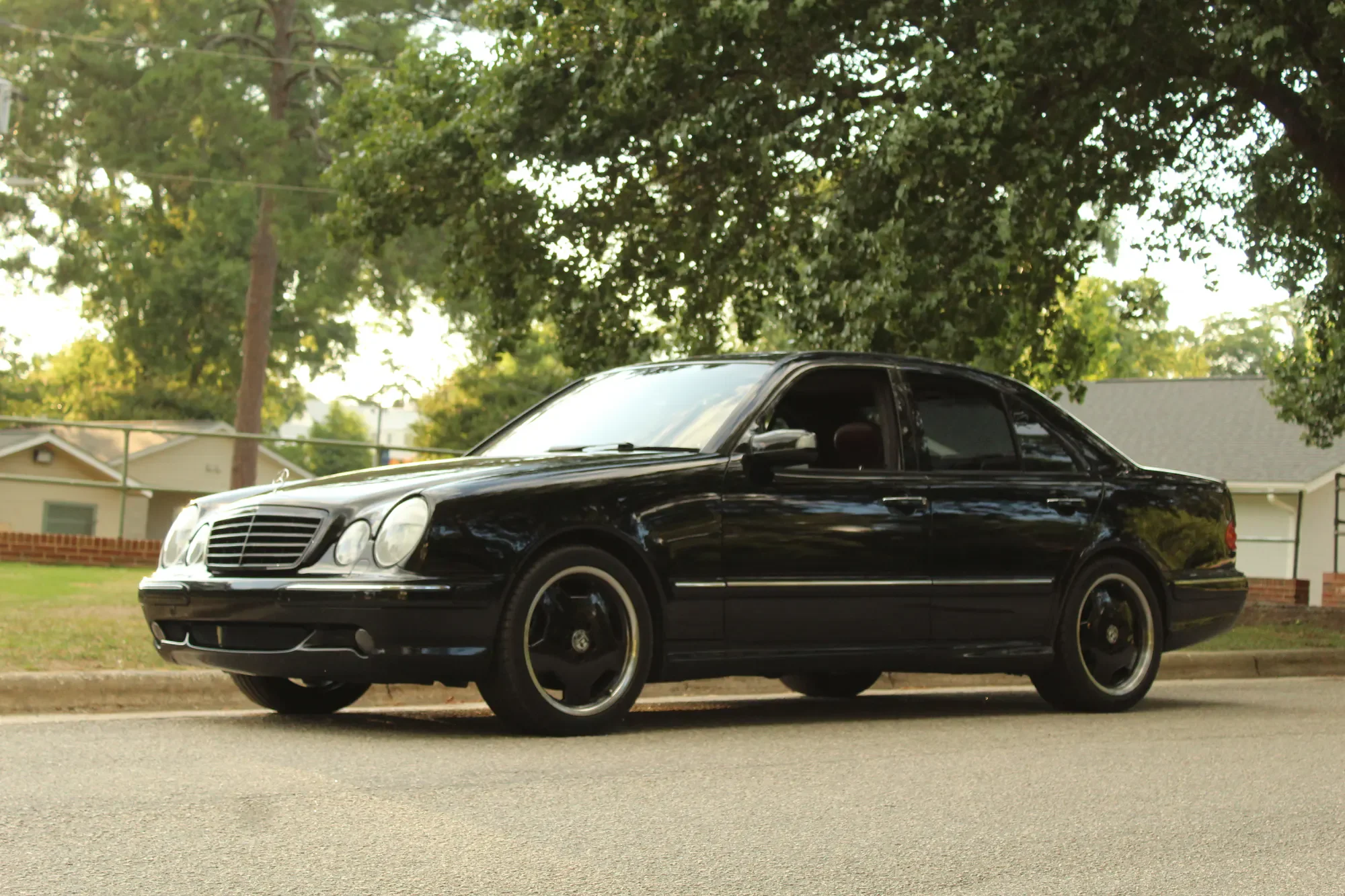 Black Mercedes-Benz E55 AMG photographed beneath leafy trees