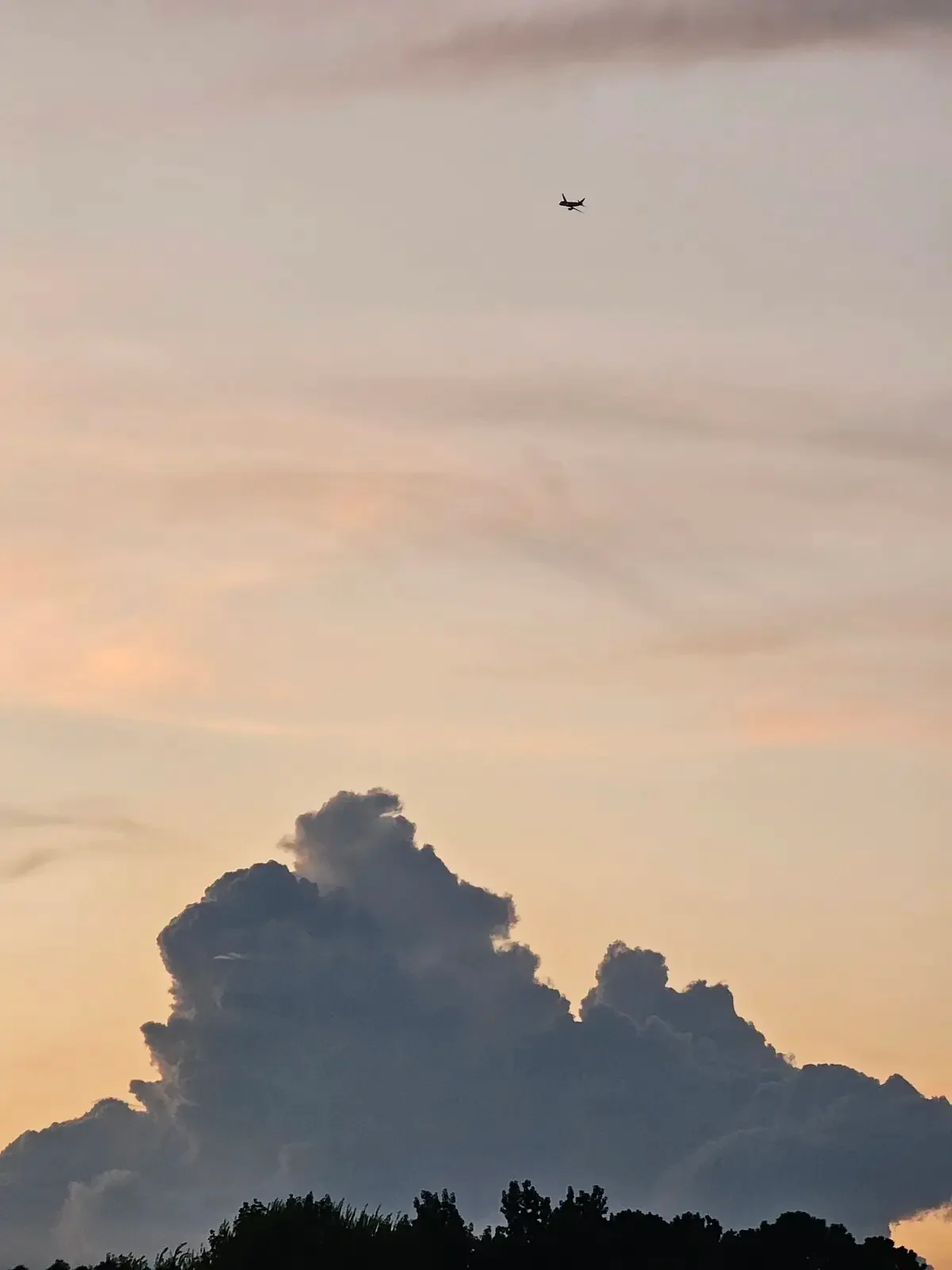 Small aircraft silhouetted beside a towering evening cloud